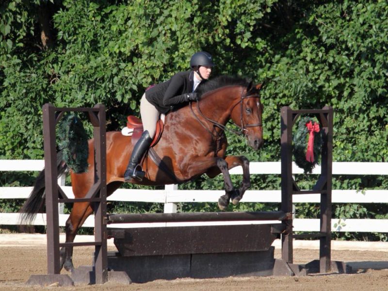 Lesson Horses – Windermere Equestrian Center