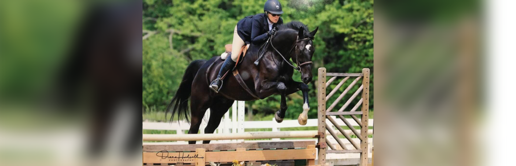 Windermere Equestrian Center – We Have Produced Horseman And Woman Who ...